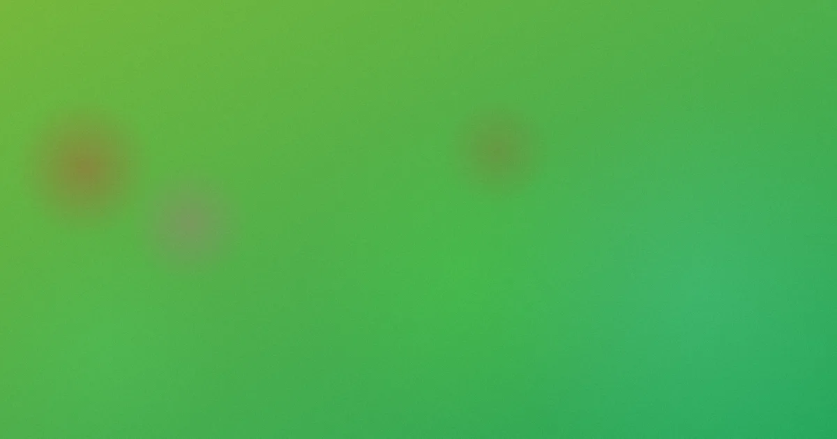 欧美尻逼对比实战复盘